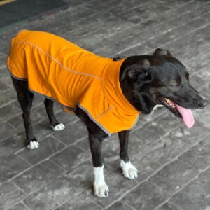 Chaqueta reflectante