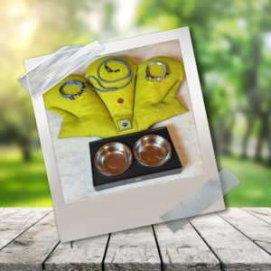 Kit bienvenida perro 2 en 1