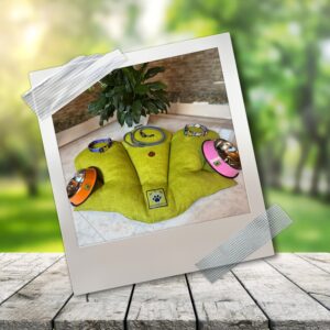 Kit bienvenida perro Basic